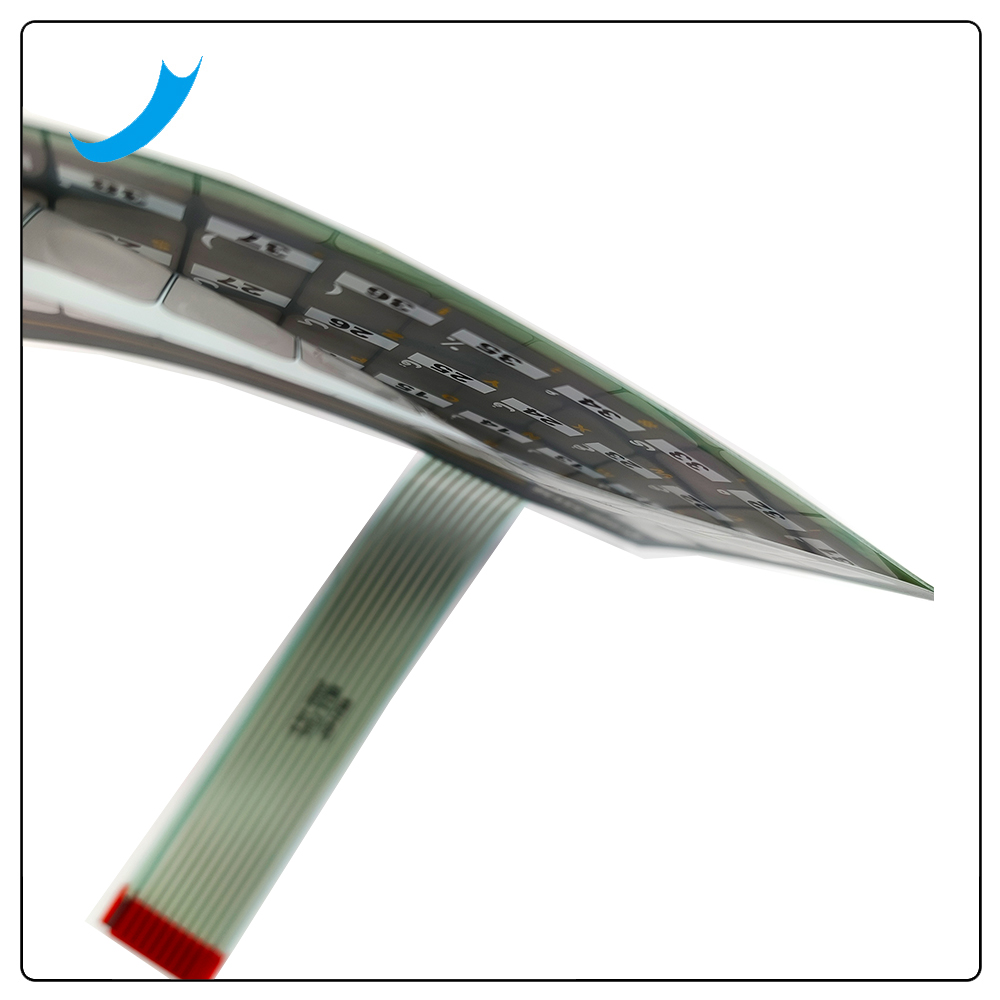 Membrane switch for weighing instrument